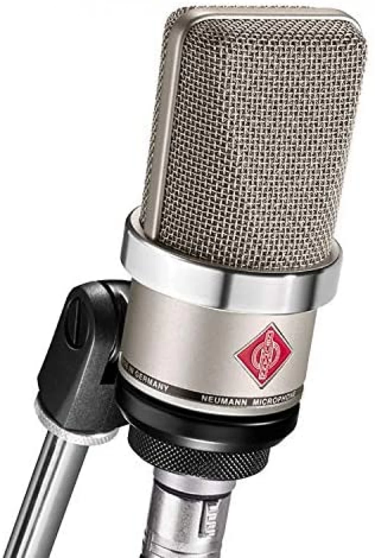 Neumann TLM 102 On Microphone Stand